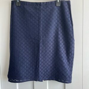 The Limited Skirt Sz 6